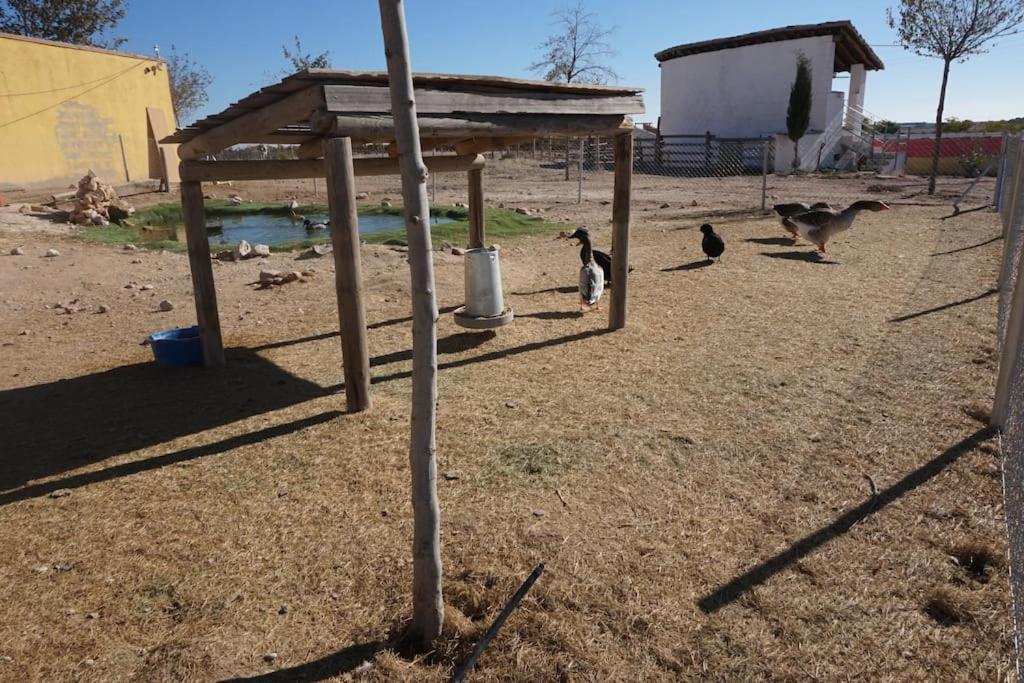 Lillo Finca La Caprichosa De Dancos מראה חיצוני תמונה